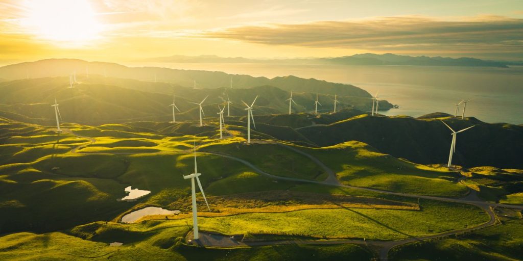Traducción en el Sector de la Energía Renovable