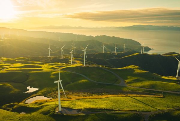 Traducción en el Sector de la Energía Renovable